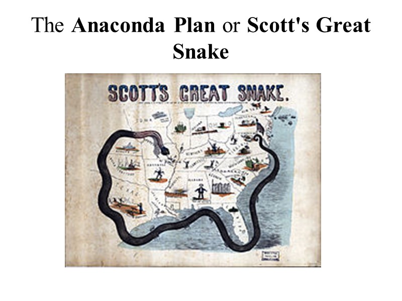 The Anaconda Plan or Scott's Great Snake